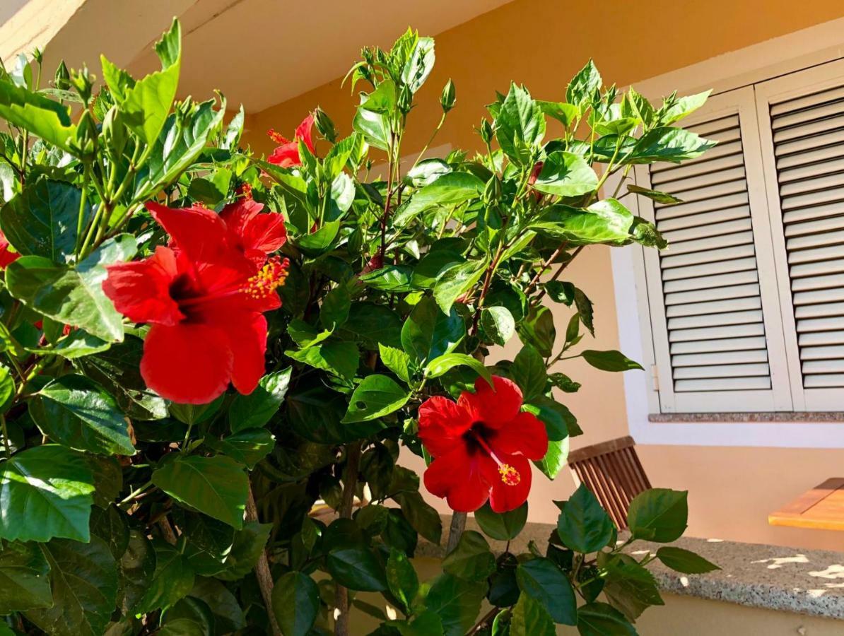Casa Dolce Hibiscus Apartment Olbia Exterior photo